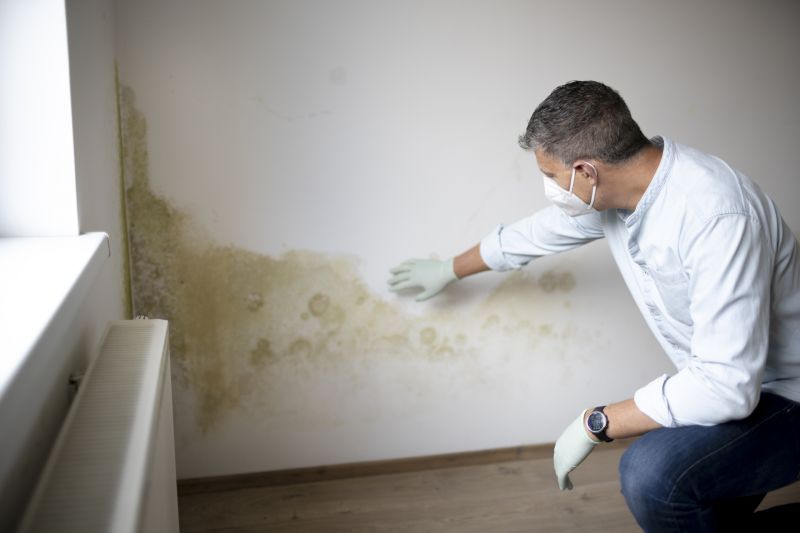 Analysis of Mold Presence